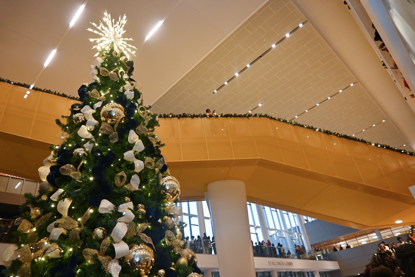 Lit Christmas Tree in the Student Center