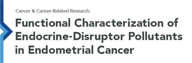 Endometrial cancer graphic