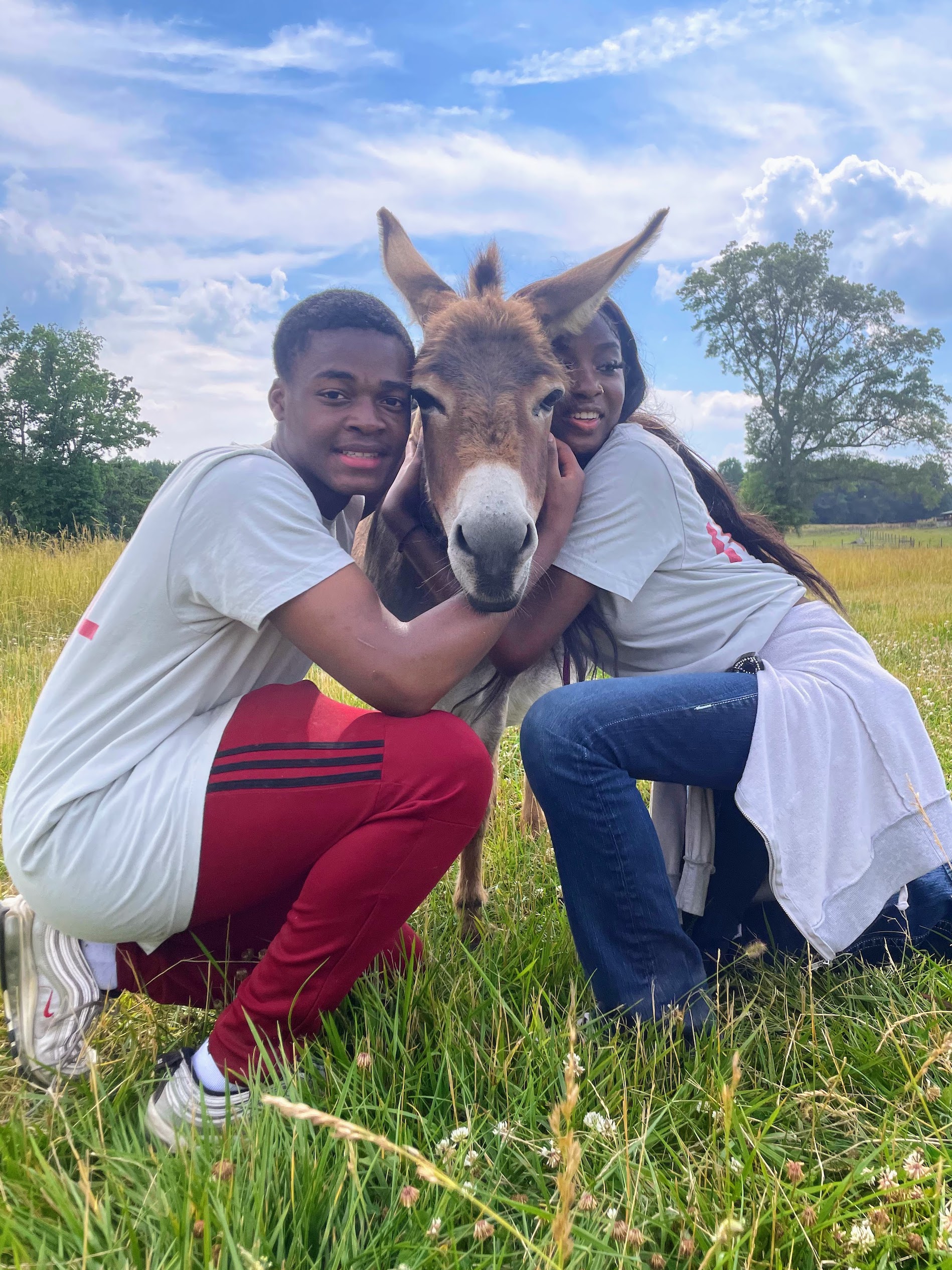 Individuals hug a donkey