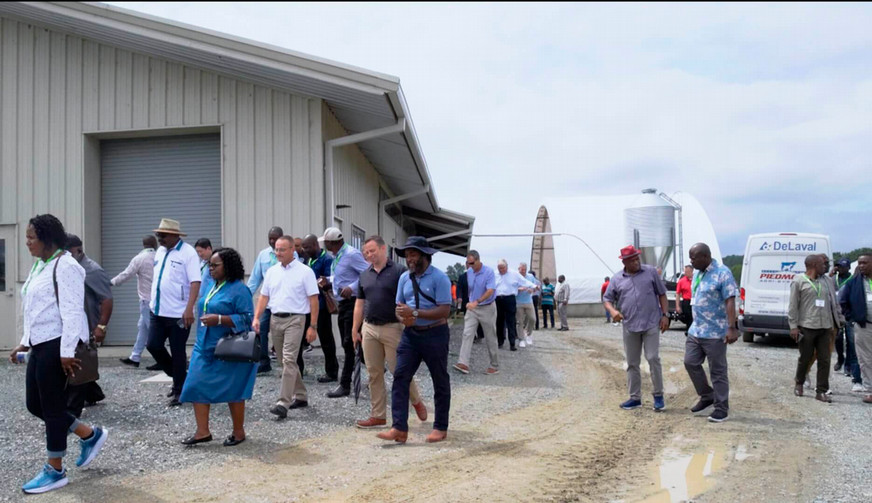 African nations' delegations members walk between sites at the University Farm