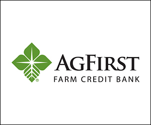 agfirst logo